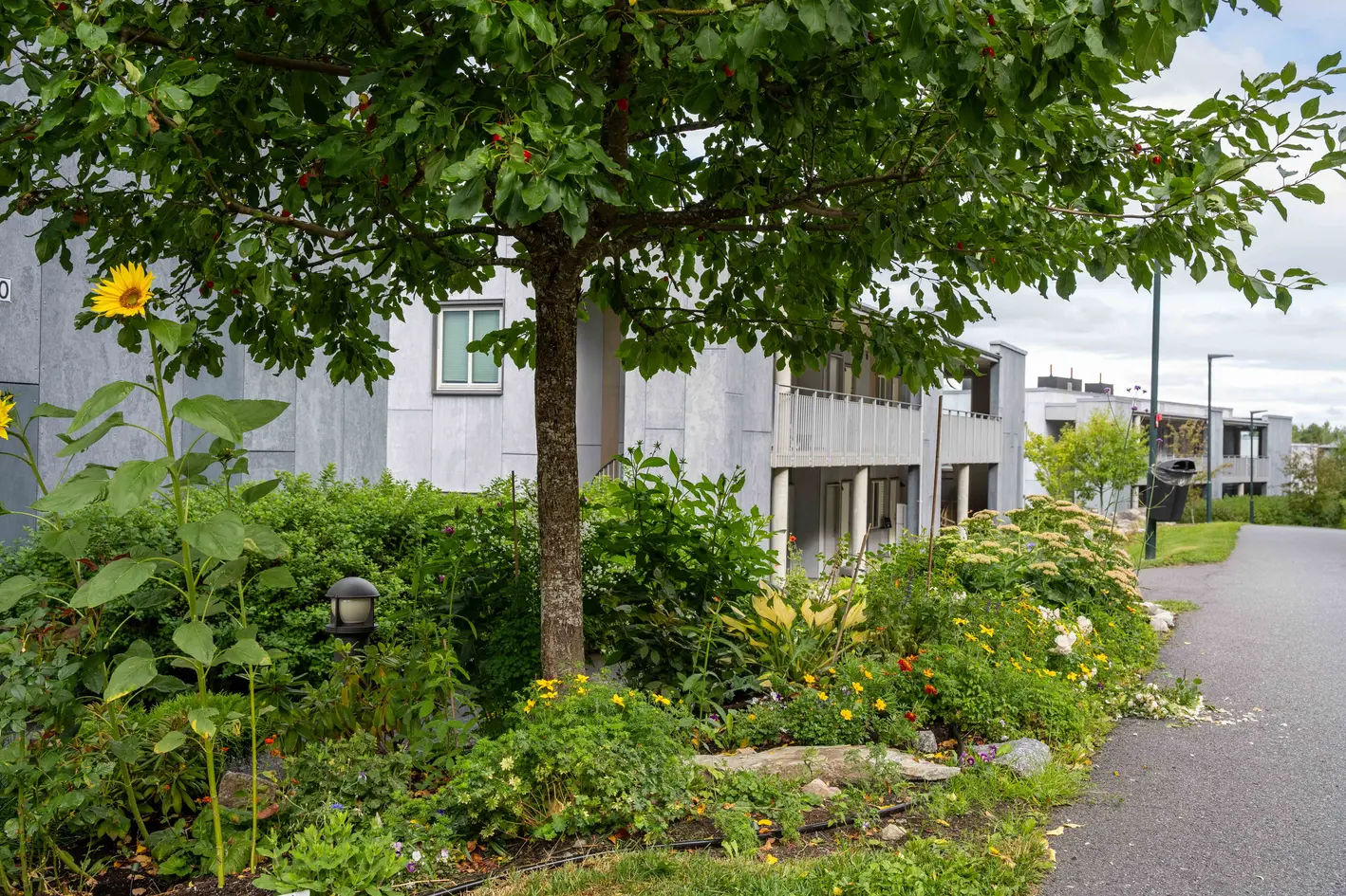 Solrik, trappefri og lys 4-roms endeleilighet. Fritt beliggende i barnevennlige omgivelser - Garasje og IN- ordning. photo 3