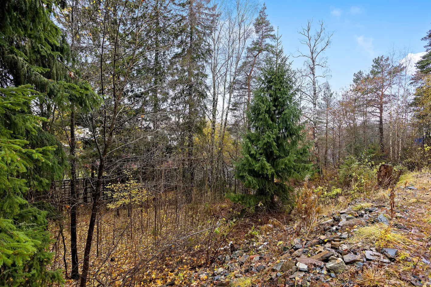 NY PRIS! Ubebygd tomt på 1032m2 - Veletablert og familievennlig boligområde - Populær beliggenhet! photo 3