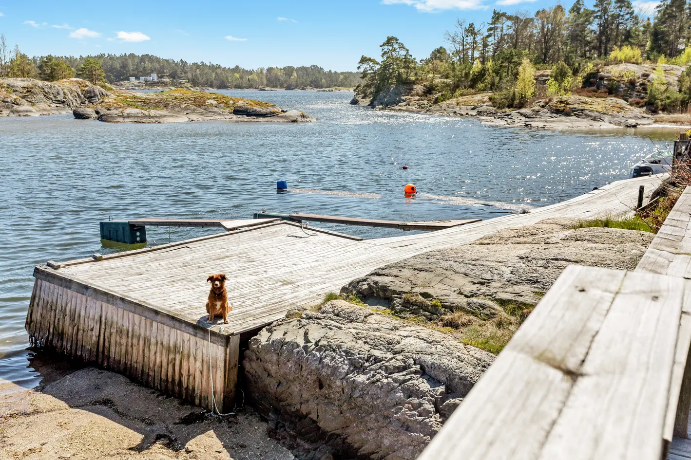 Skåtøy / Kragerø – Sjønær fritidsbolig med båtplass, solrikt og helt usjenert! - Bilde 5