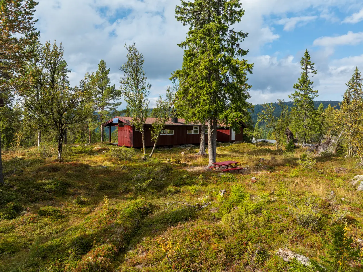 Sjarmerende hytte på solrik kolle ved Buvatn – stille beliggenhet, 900 moh, 150 m til langrennsløype. - Bilde 6