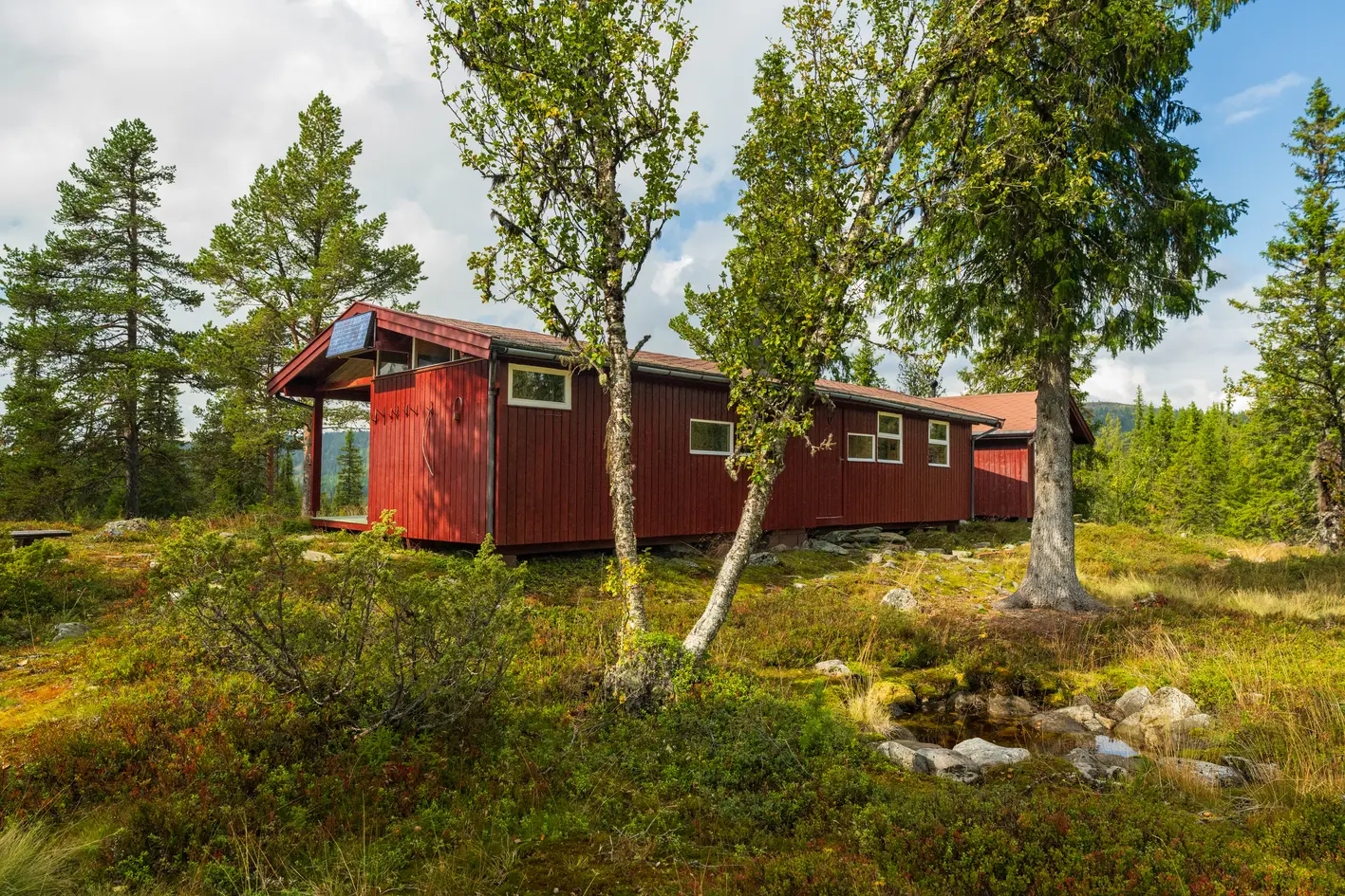 Sjarmerende hytte på solrik kolle ved Buvatn – stille beliggenhet, 900 moh, 150 m til langrennsløype. - Bilde 5