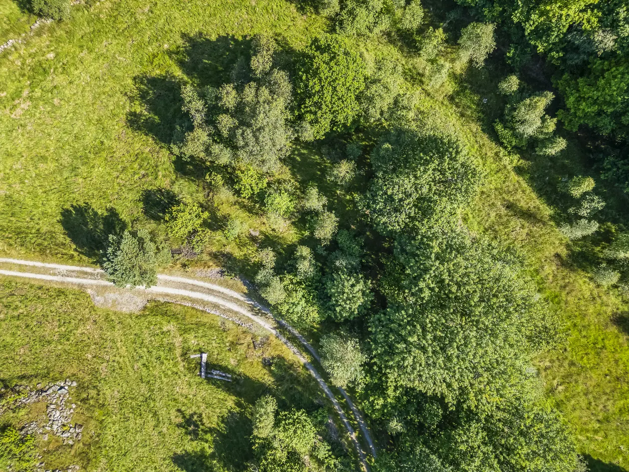 Fritidstomt på Grimestad | 745 kvm | landlig beliggenhet photo 4