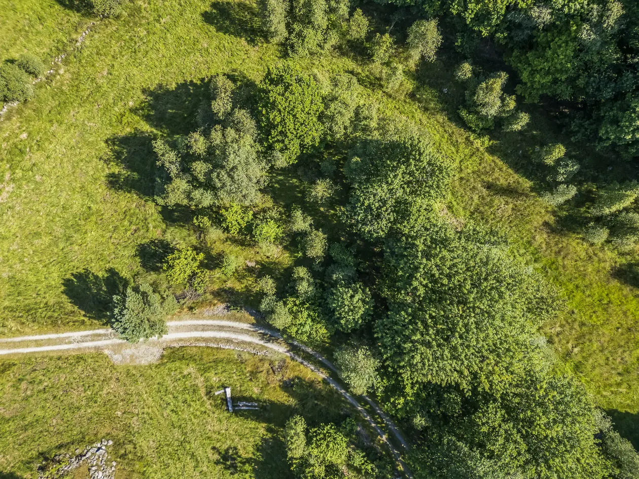 Fritidstomt på Grimestad | 745 kvm | landlig beliggenhet photo 2