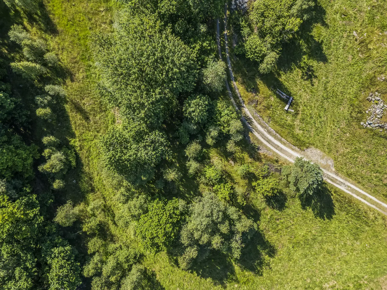 Fritidstomt på Grimestad | 745 kvm | landlig beliggenhet photo 5