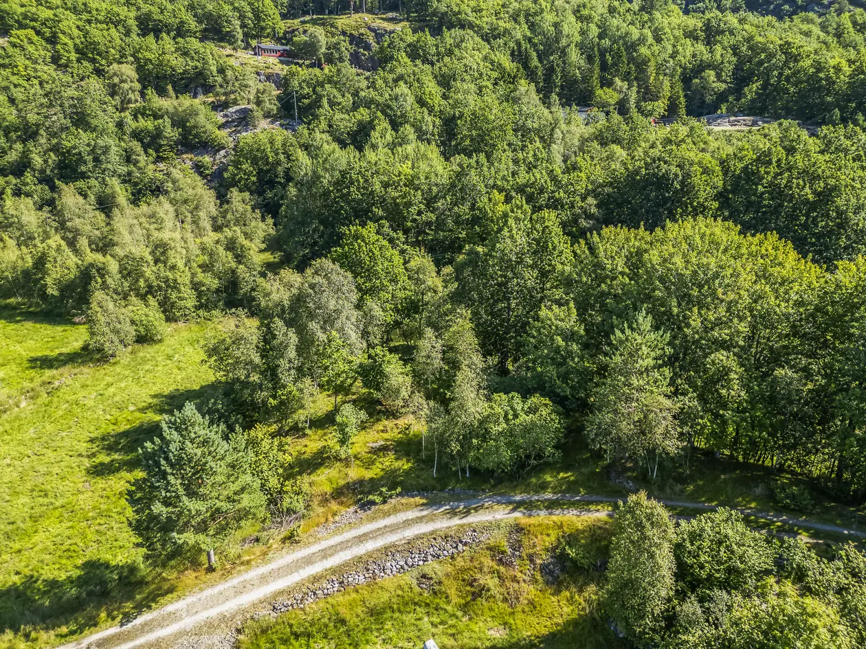 Fritidstomt på Grimestad | 745 kvm | landlig beliggenhet photo 3
