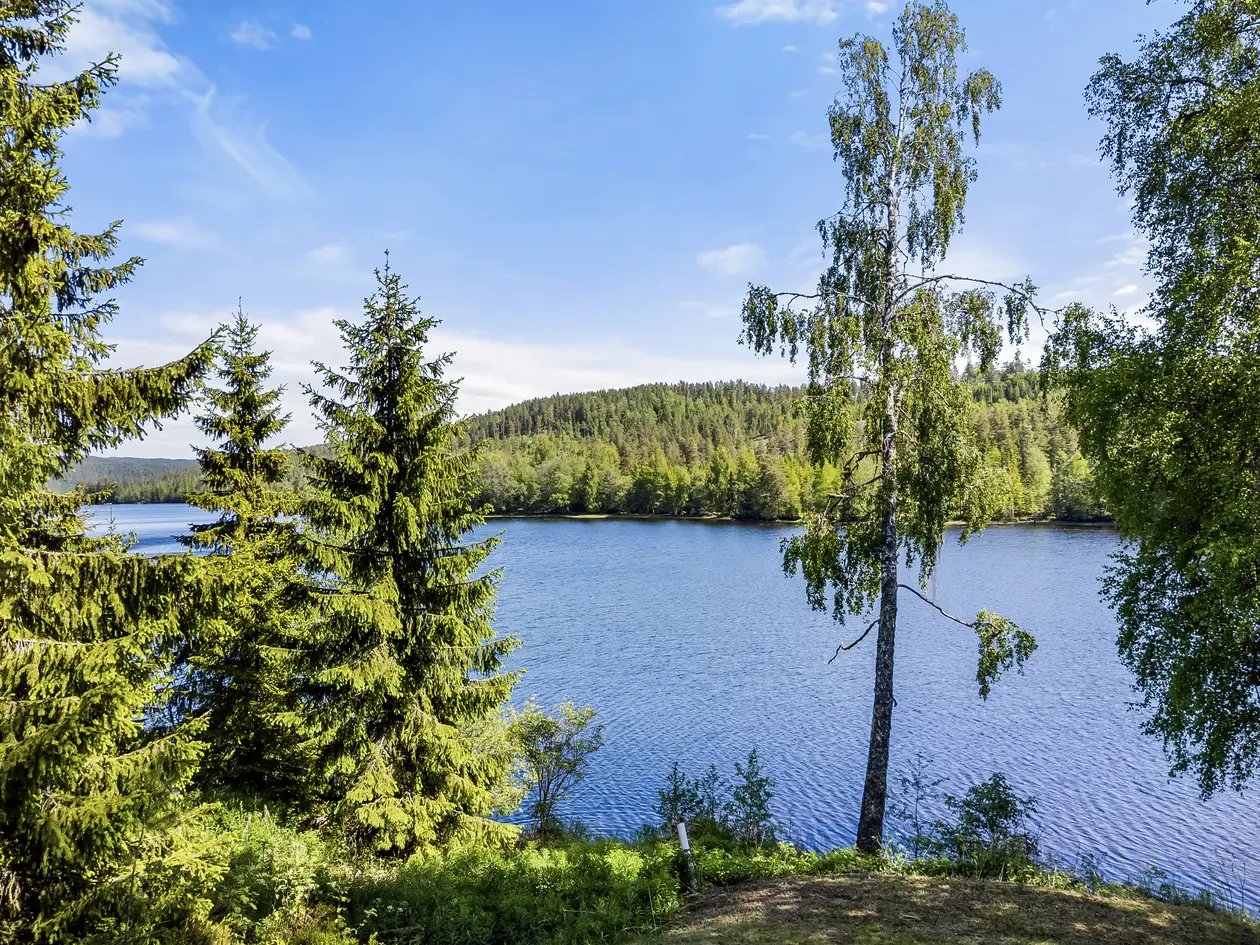 Særs romslig enebolig på 358 kvm | Tomt med strandlinje på  6,7 mål ved Tunnsjøen |  40 km fra Oslo | Oppusset 2019-2023 photo 4