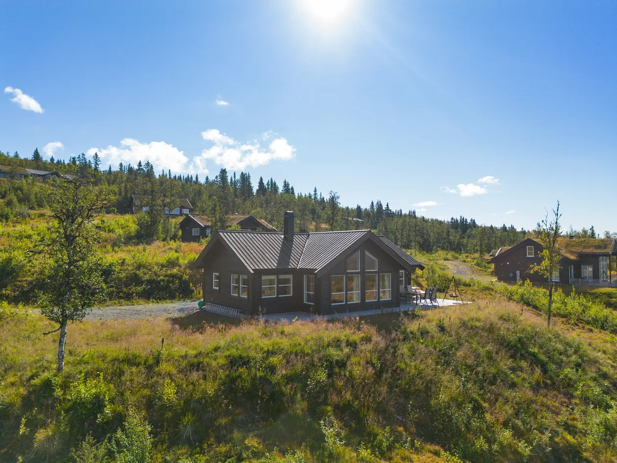 Hus – røn - Bilde 2