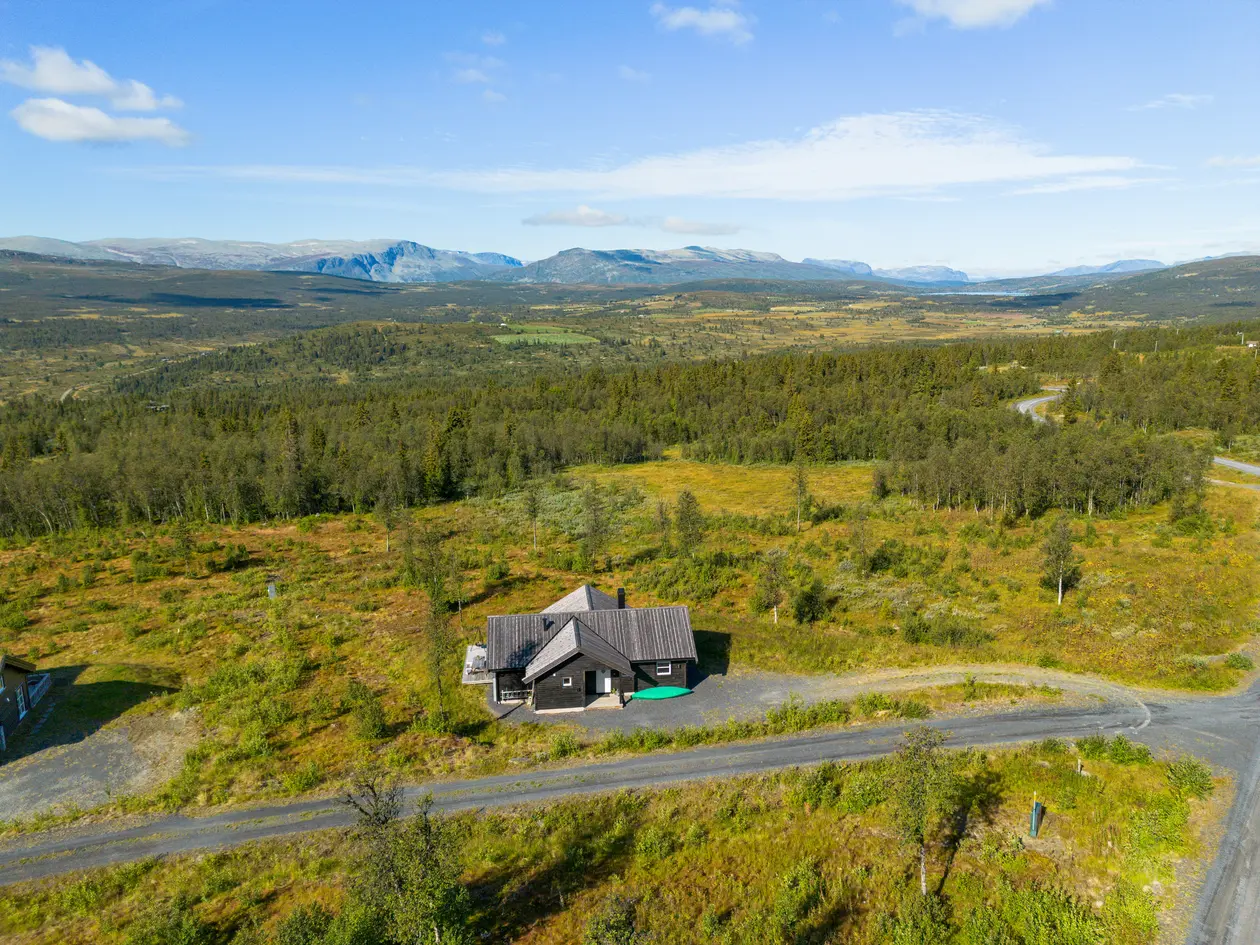 Hus – røn - Bilde 3