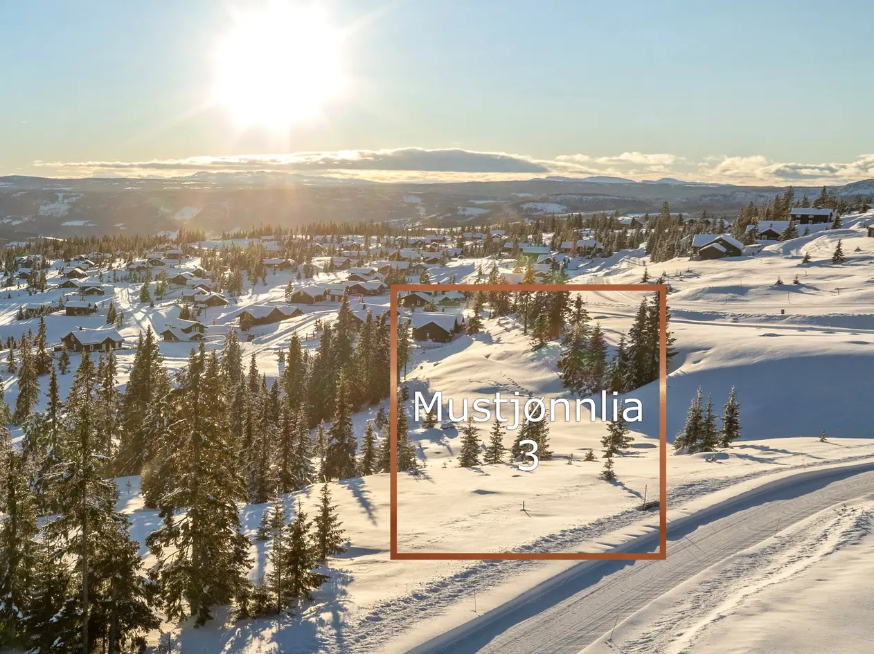 Land, 1253 m²