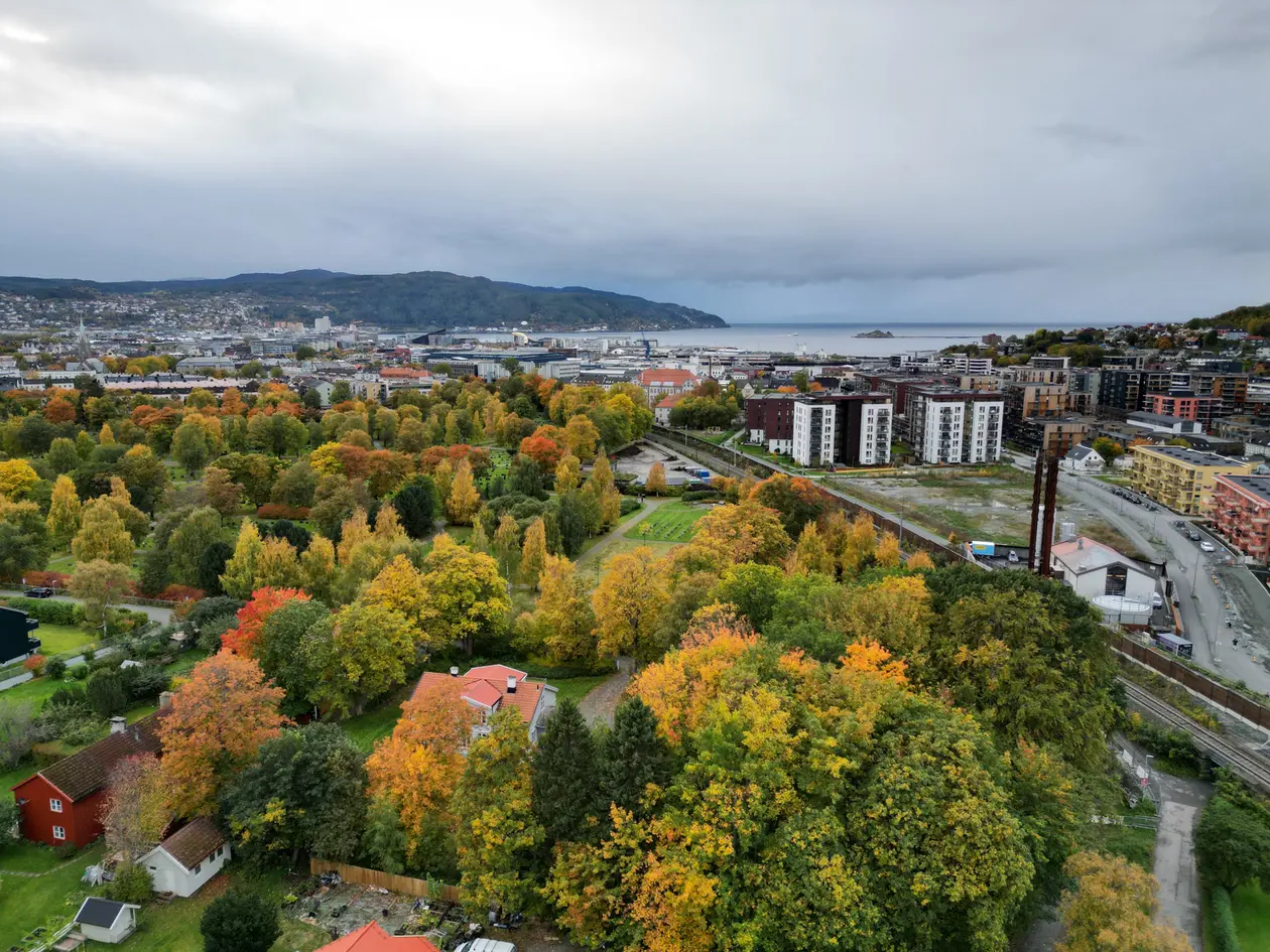 DALEN - Flat boligtomt på 831 kvm med stort potensial i enden av en blindvei. Rammetillatelse for enebolig. - Bilde 4