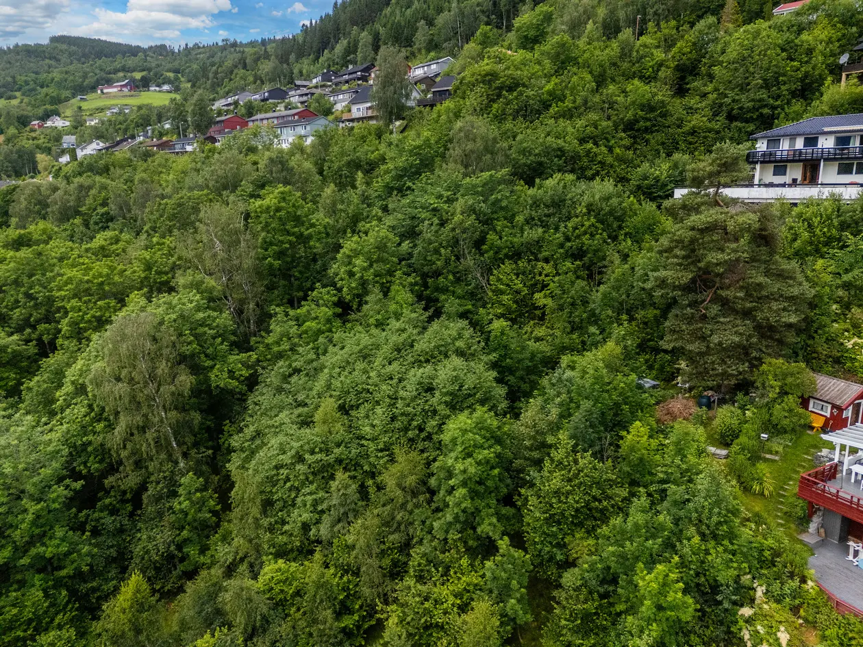 Boligtomt med nydelig utsikt, god solgang og kort vei til sentrum. photo 4