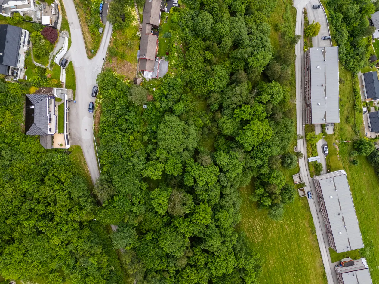 Boligtomt med nydelig utsikt, god solgang og kort vei til sentrum. photo 3