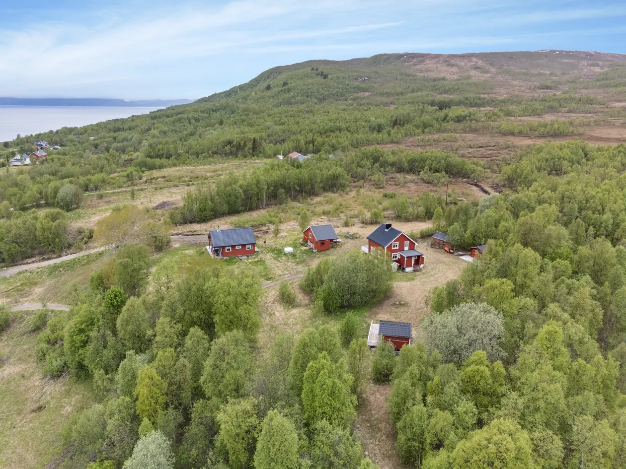 NY PRIS! Enebolig med anneks, badstue, uthus og gapahuk like ved naturen photo 3