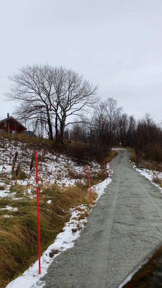 NY PRIS! Enebolig med anneks, badstue, uthus og gapahuk like ved naturen photo 4