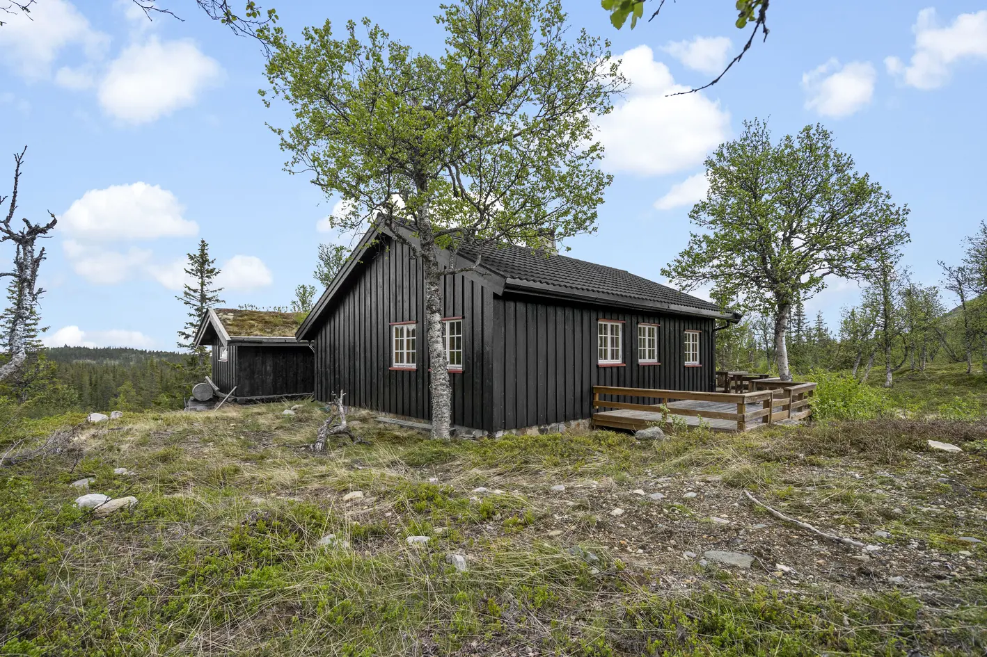 Bjørkebu - Frittliggende og koselig hytte med uthus ca. 910 moh- 3 soverom- Flott turterreng og idyllisk natur!, nesbyen