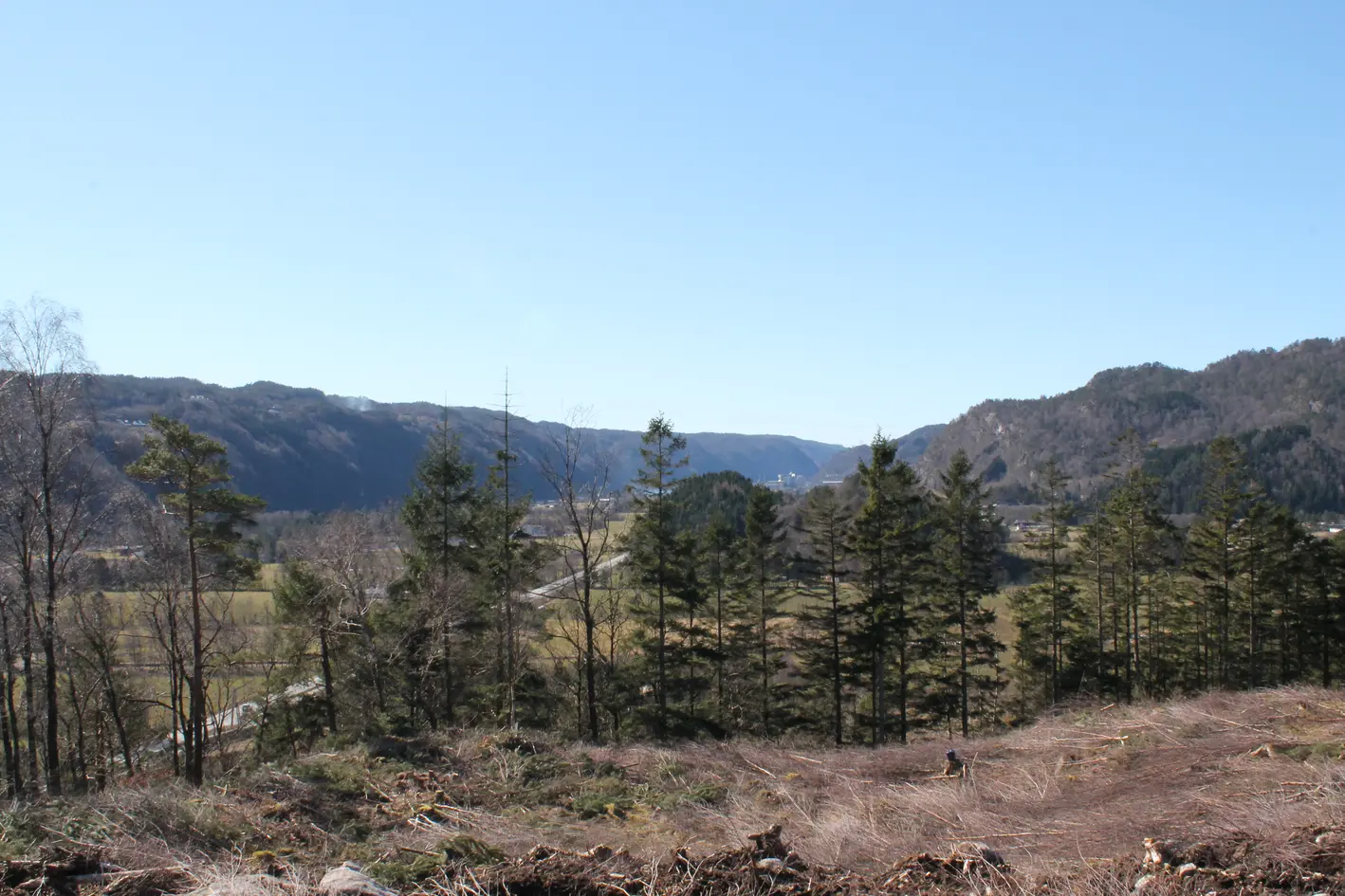 Kvinesdal - Ferdig regulert boligområde på Lauvåsen selges i sin helhet (34 boligtomter) photo 5