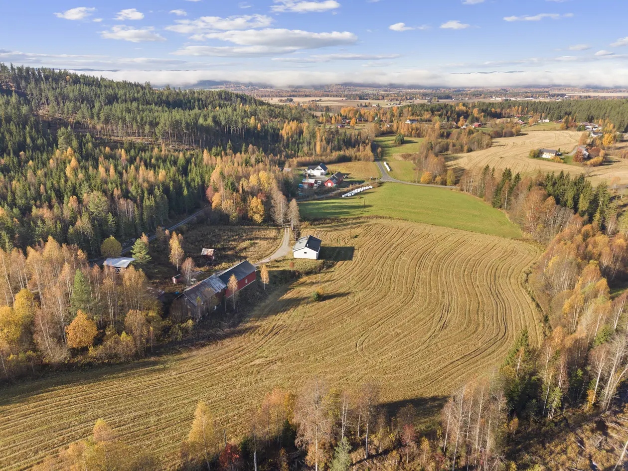 Småbruk ca.1,5 time fra Oslo med sjarm og muligheter | 40,7 dekar | Enebolig, låve og verksted.  photo 4