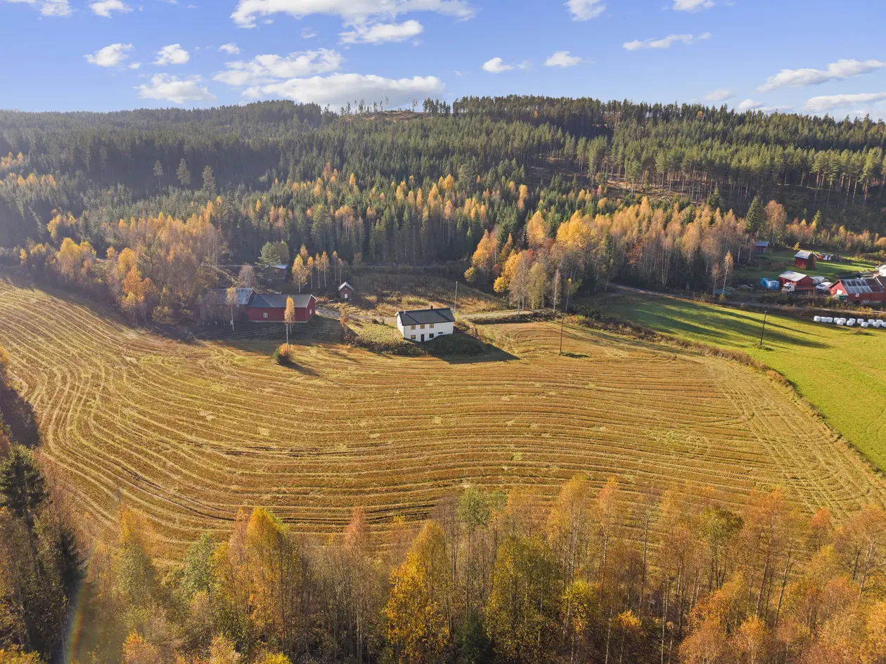 Småbruk ca.1,5 time fra Oslo med sjarm og muligheter | 40,7 dekar | Enebolig, låve og verksted.  photo 5