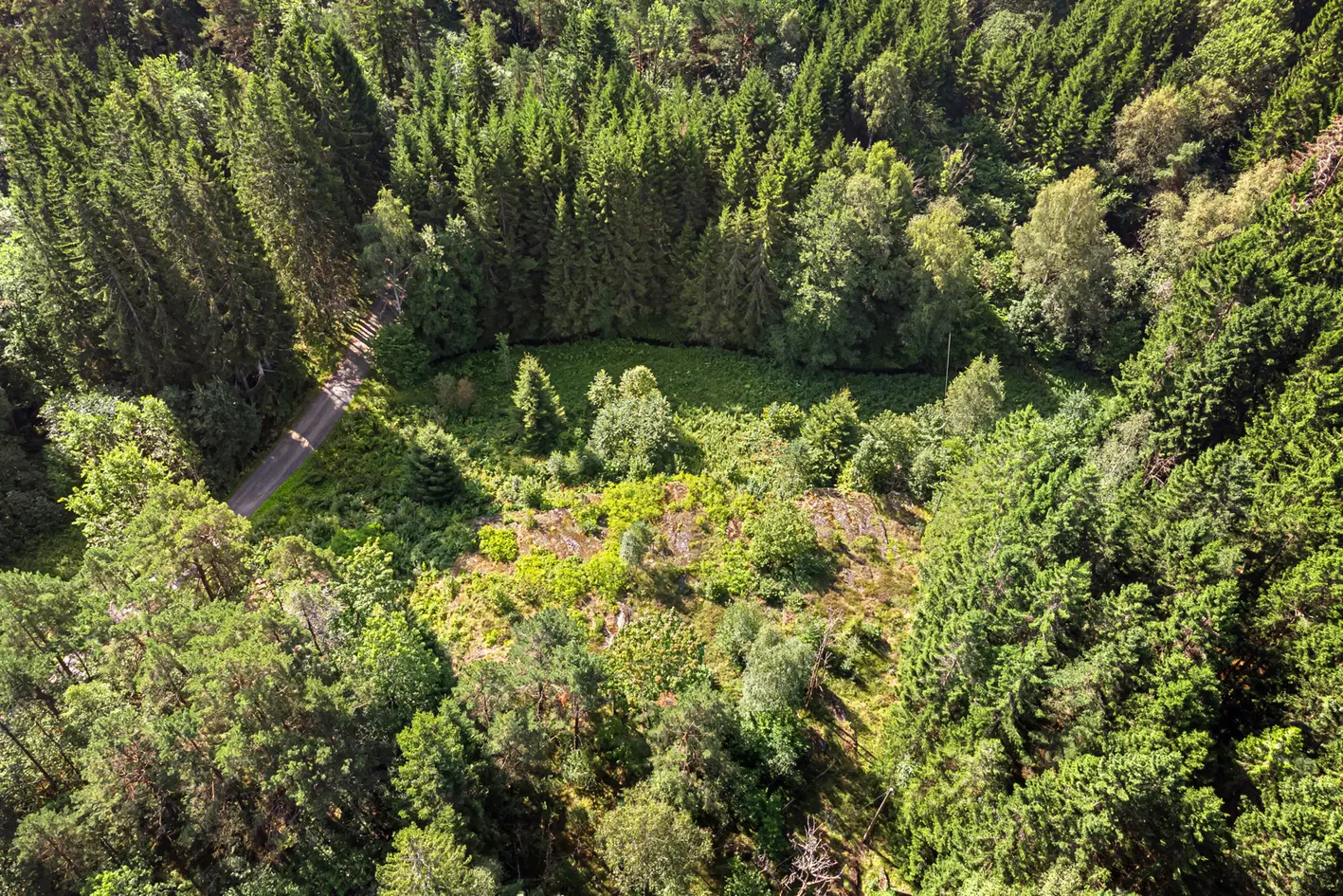 Stor landlig tomt på ca 1998 m2 regulert til bolig, med nærhet til bebyggelse, skoler og flotte naturperler. photo 5