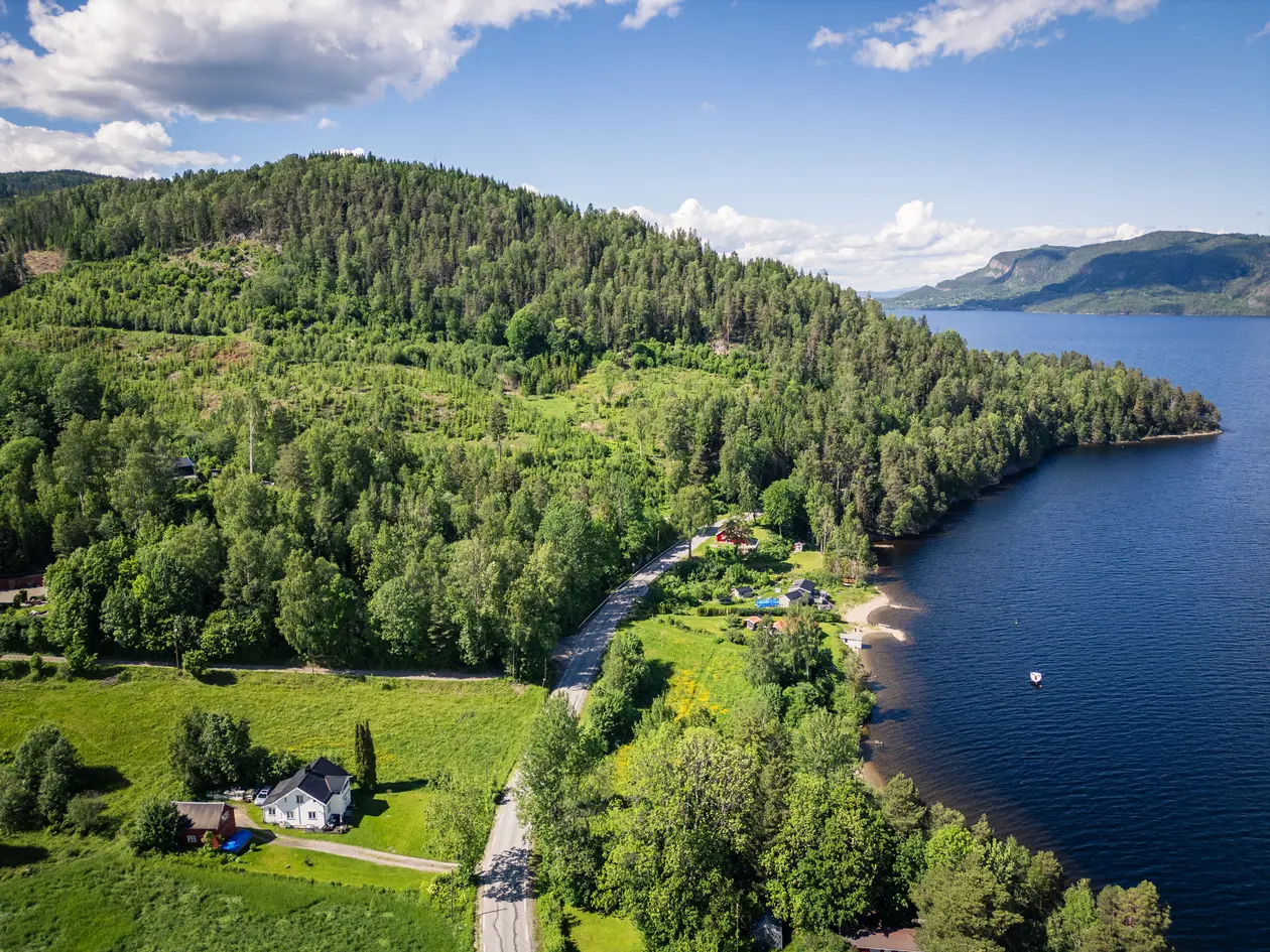 Tomt på 976 kvm med flott utsikt mot Holsfjorden. Tilbaketrukket med landlige omgivelser. 25% BYA. Ca 10 min til Sylling photo 5