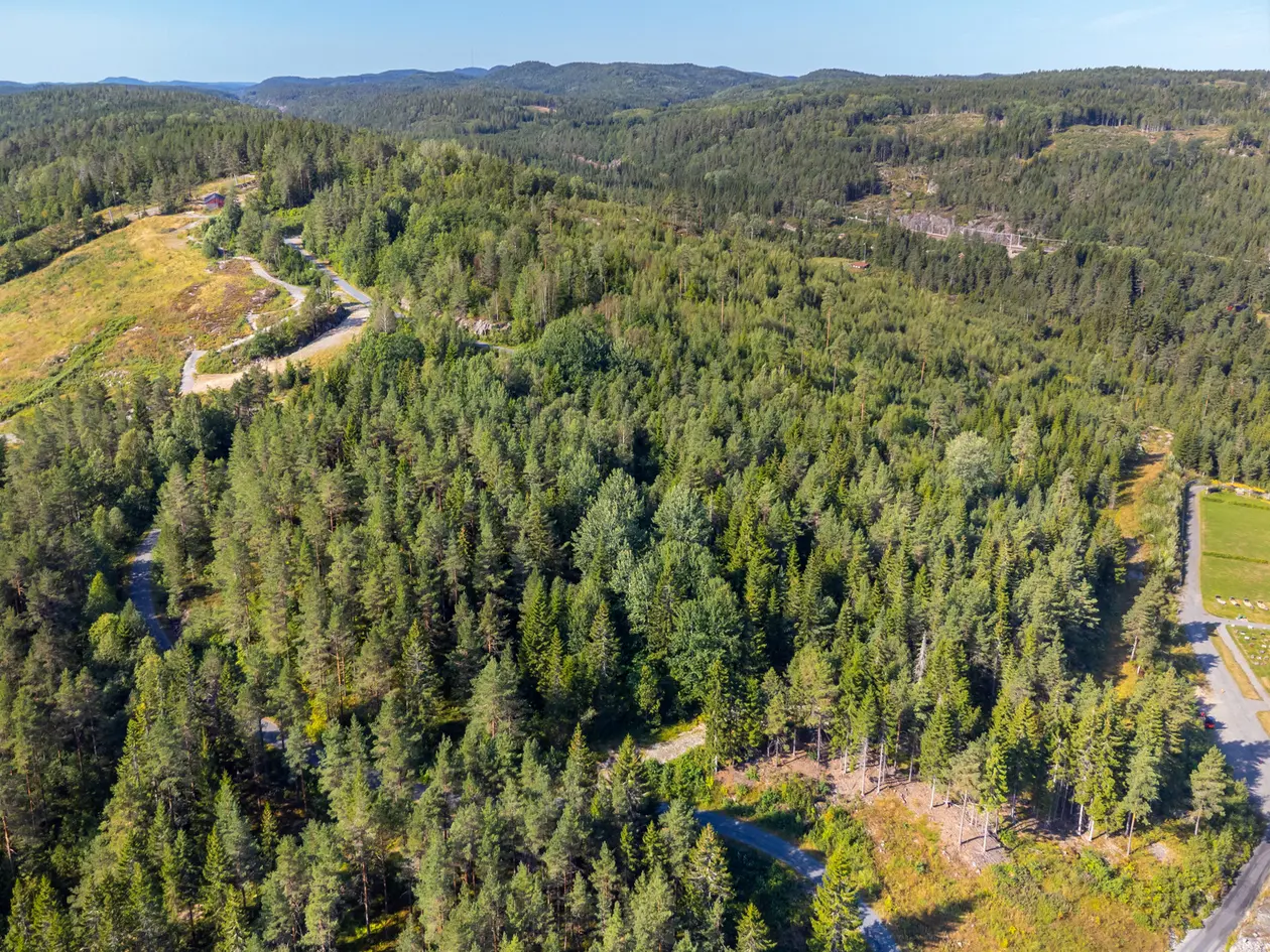 Ny pris! Kjørkeliheia - Ferdig regulert boligområde med 13 boligtomter - Selges som råtomt photo 2