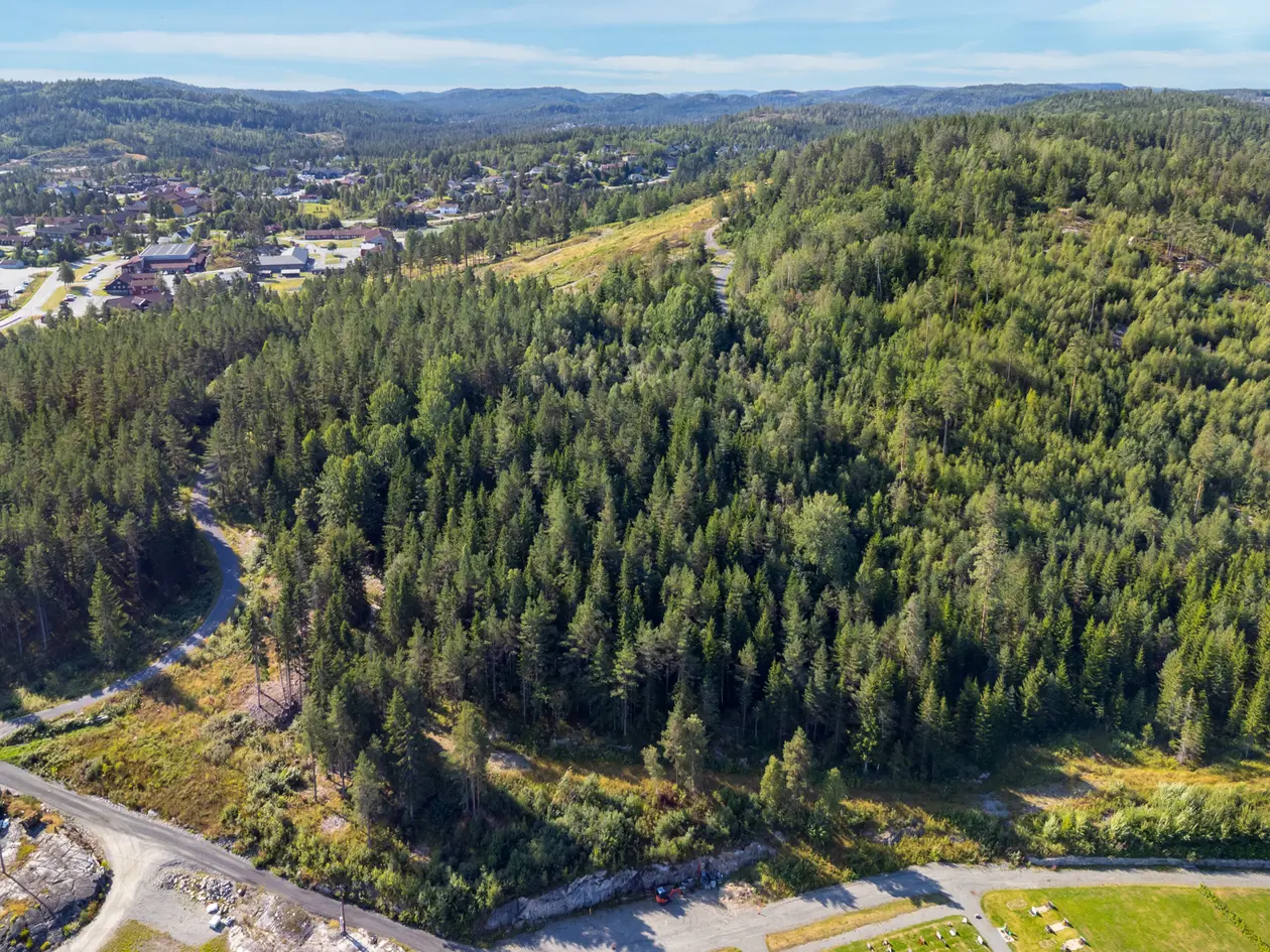 Ny pris! Kjørkeliheia - Ferdig regulert boligområde med 13 boligtomter - Selges som råtomt photo 4