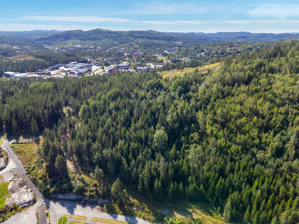 Ny pris! Kjørkeliheia - Ferdig regulert boligområde med 13 boligtomter - Selges som råtomt photo 5