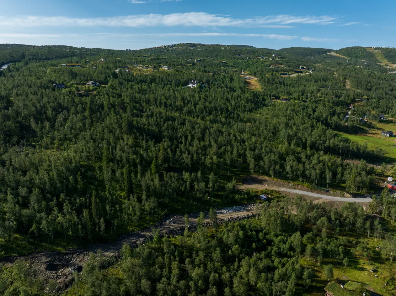 Boligtomter med attraktiv beliggenhet i Vestlia photo 5