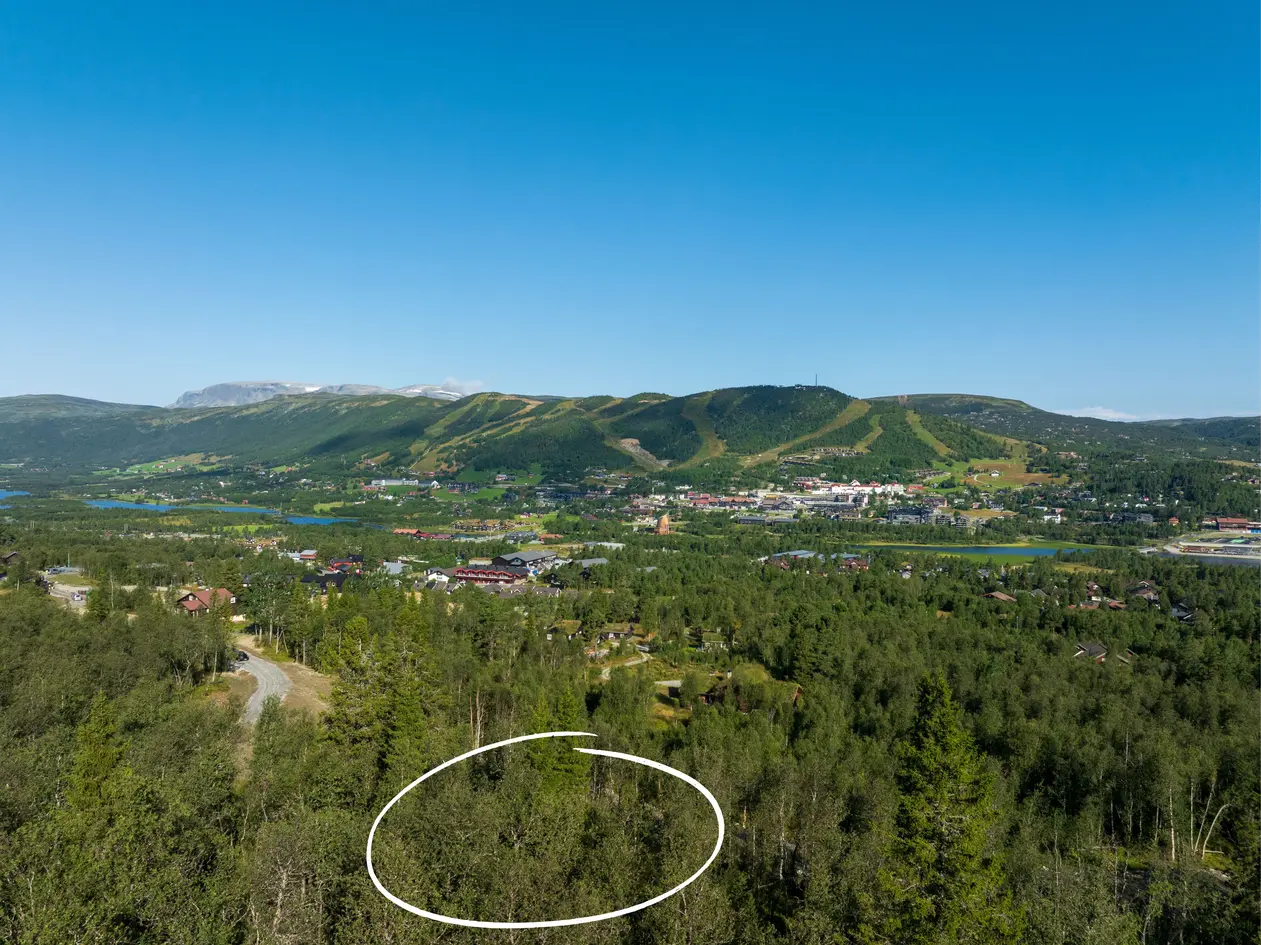 Sklypas, 2000 m²