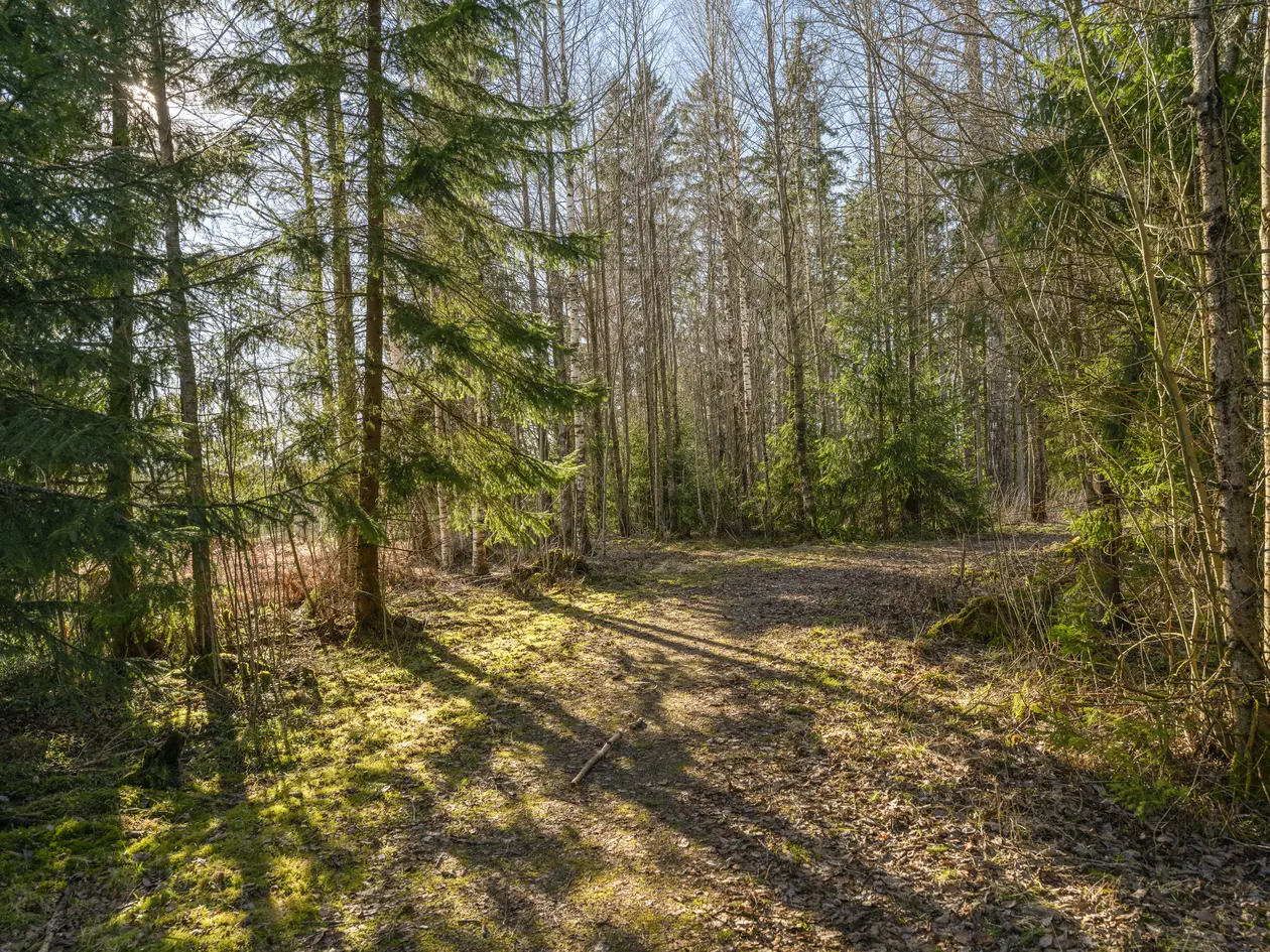 10 boligtomter sentralt beliggende i populært, barnevennlig og idyllisk område - Skap ditt eget hjem photo 3