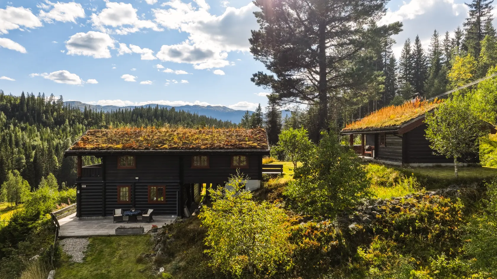 Hus – flatdal - Flere