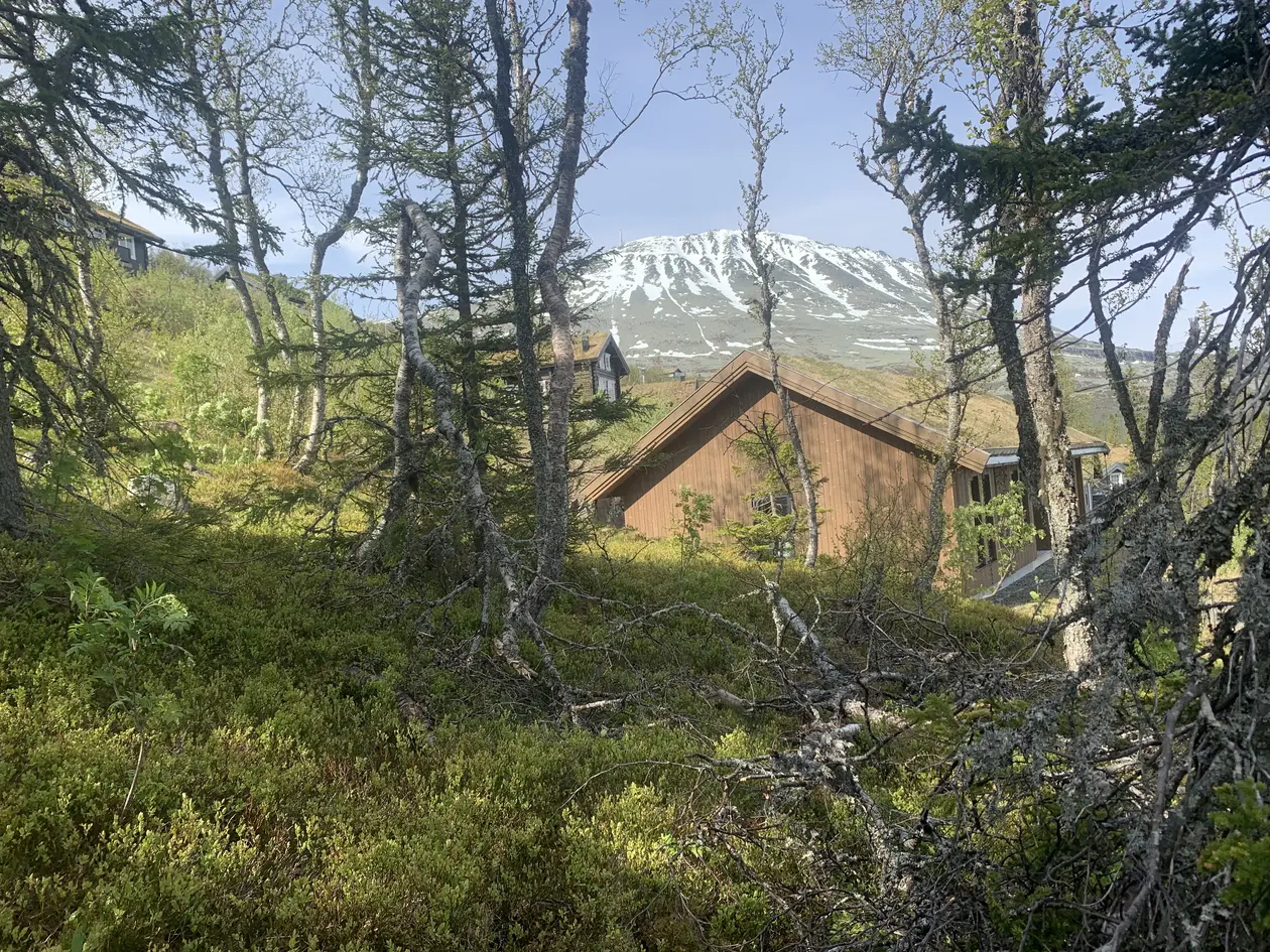 BYGGEKLAR TOMT MIDT I GAUSTATOPPEN NATURPARK 1 173 m² ca 980 meter over havet, mellom skibakkene. Utsikt. Ski inn/​ut - Bilde 3