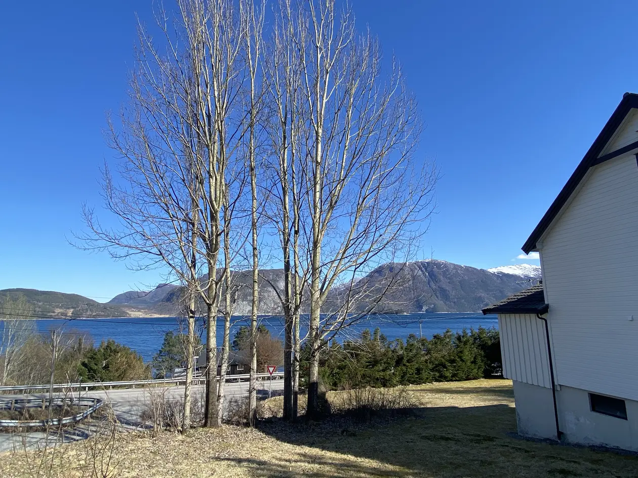 Eidsvåg - Landbrukseiendom på 4.226 dekar som strekker seg fra fjord til fjell - Innholdsrik bolig - 24 hyttetomter  photo 4