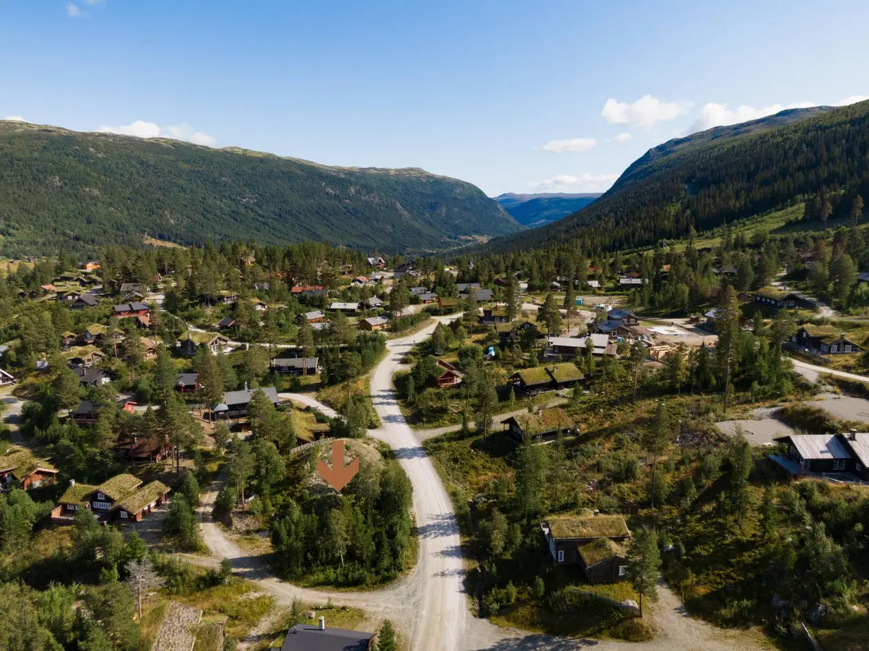 Tontti, 392 m²