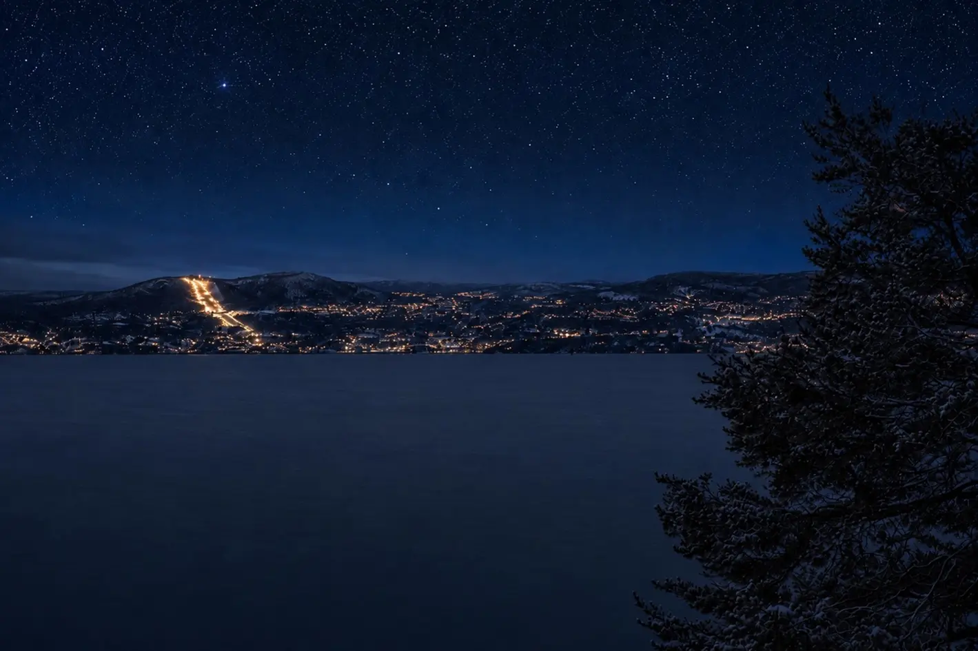 Påkostet 3-roms med panoramautsikt | Vestvendt terrasse | Enkel adkomst | Garasje photo 3